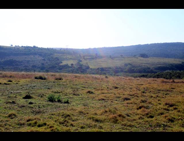 231HA FARM FOR SALE IN EAST LONDON RURAL